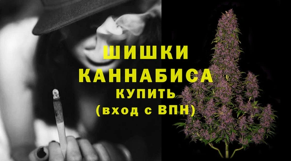 стаф Белокуриха