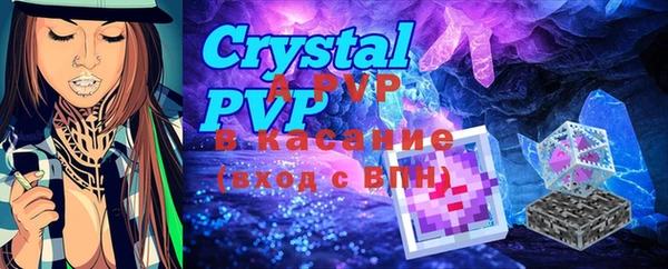 стаф Белокуриха