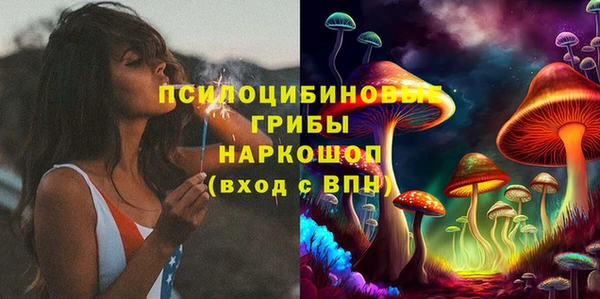 стаф Белокуриха