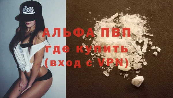 стаф Белокуриха