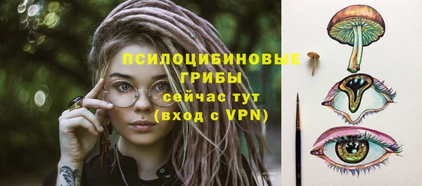 стаф Белокуриха