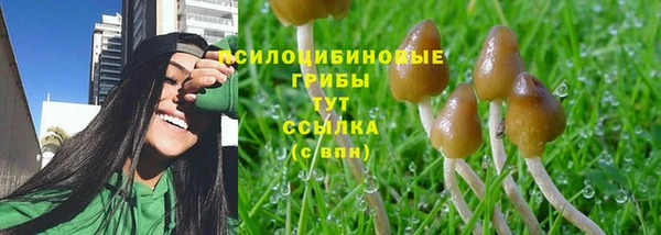 стаф Белокуриха